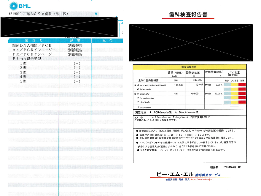 中程度の歯周炎の改善症例　細菌検査の結果